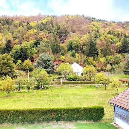 Le Vivaldi, Au Coeur Du Massif Vosgien Avec Terrain De Petanque בקתה Rochesson