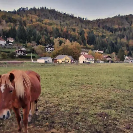 Le Vivaldi, Au Coeur Du Massif Vosgien Avec Terrain De Petanque Chalet *