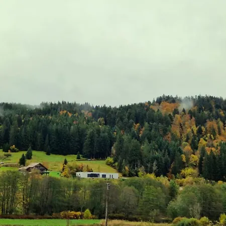בקתה Le Vivaldi, Au Coeur Du Massif Vosgien Avec Terrain De Petanque Rochesson