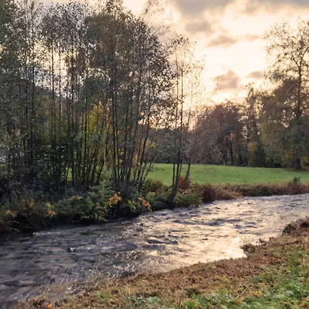 Le Vivaldi, Au Coeur Du Massif Vosgien Avec Terrain De Petanque