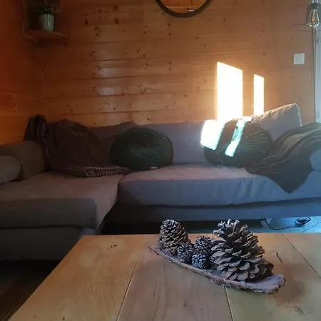 Domek alpejski Le Vivaldi, Au Coeur Du Massif Vosgien Avec Terrain De Petanque