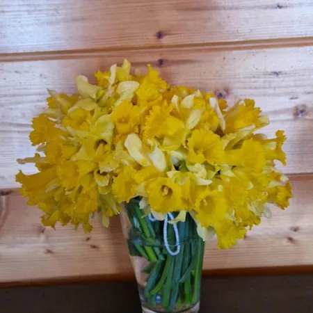 Le Vivaldi, Au Coeur Du Massif Vosgien Avec Terrain De Petanque 샬레 *