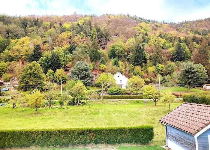 Le Vivaldi, Au Coeur Du Massif Vosgien Avec Terrain De Petanque 샬레 Rochesson