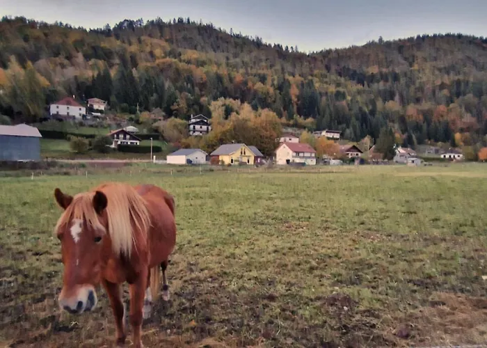 Le Vivaldi, Au Coeur Du Massif Vosgien Avec Terrain De Petanque Chalet *