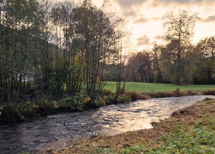 Le Vivaldi, Au Coeur Du Massif Vosgien Avec Terrain De Petanque
