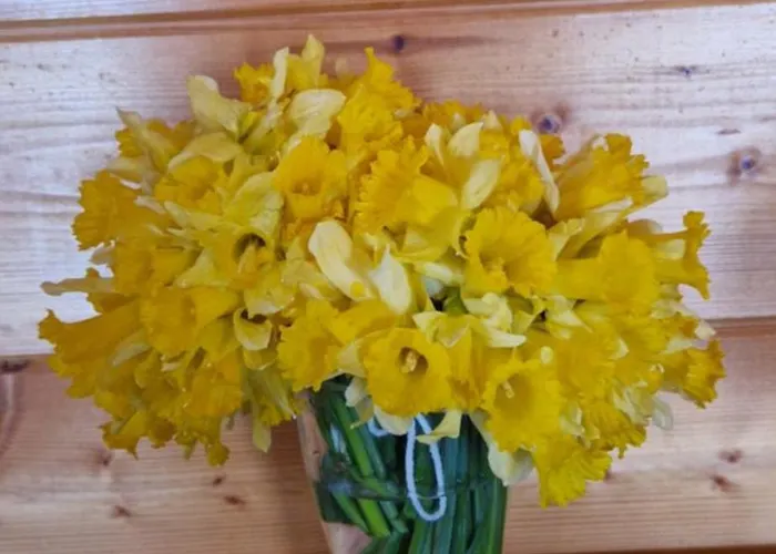 Le Vivaldi, Au Coeur Du Massif Vosgien Avec Terrain De Petanque 샬레 *