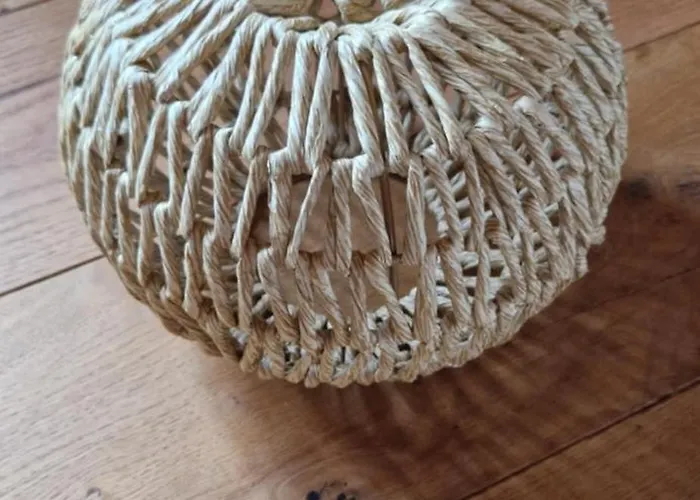 Le Vivaldi, Au Coeur Du Massif Vosgien Avec Terrain De Petanque Rochesson